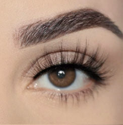 Angel *New Lash Series*