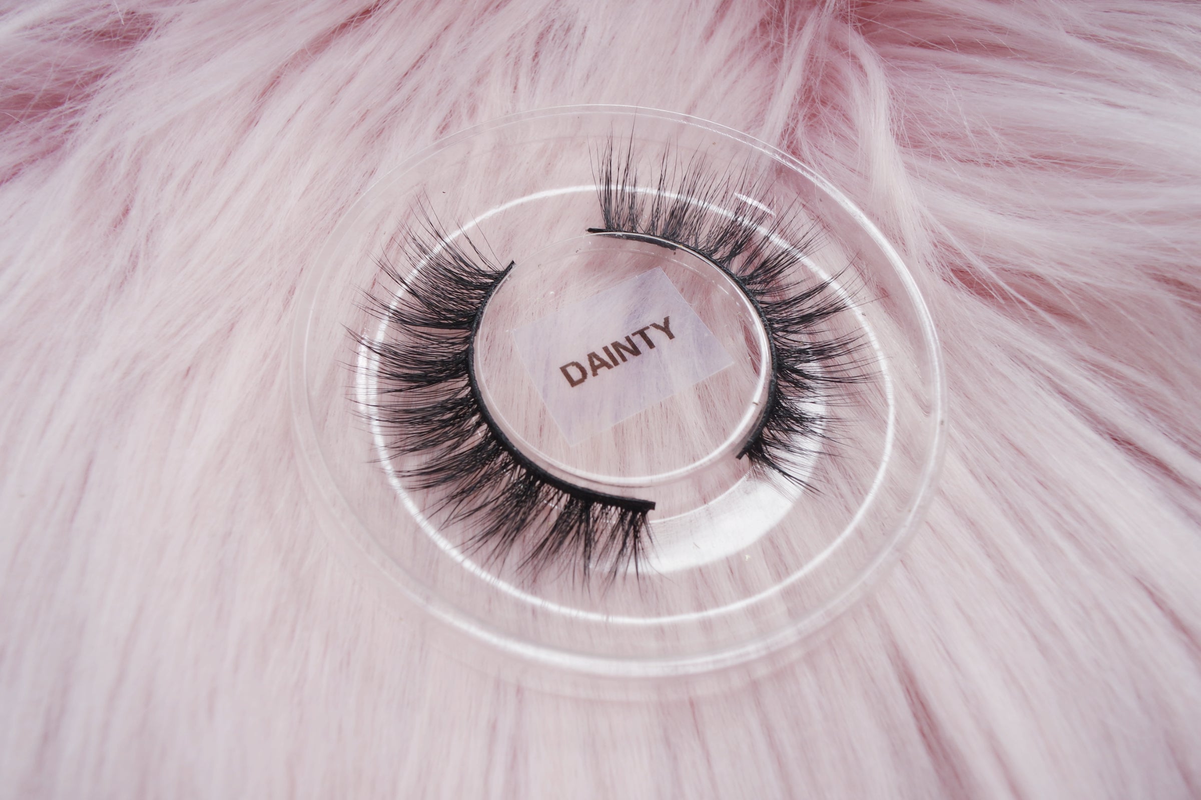 dainty (3D Vegan Silk Lashes)